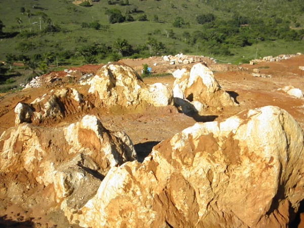 p5170640-resized-600.jpeg p5170640-resized-600.jpeg